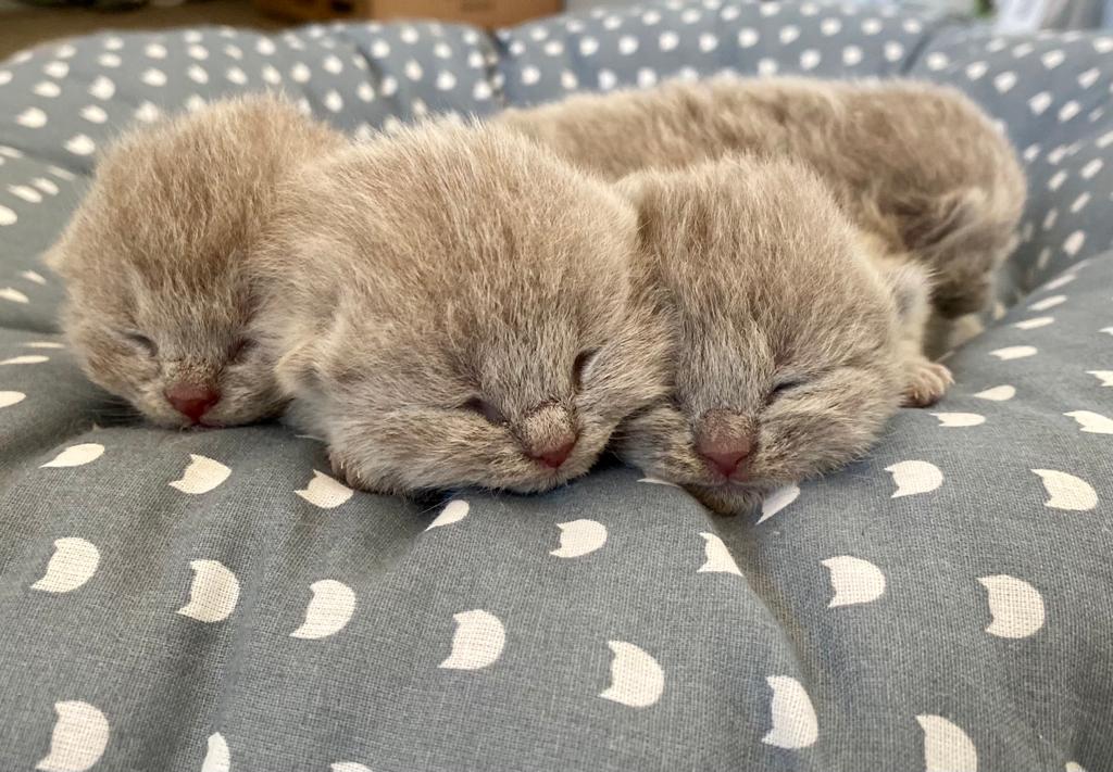 97844f6a f32b 4f23 aeec 8fb9fe8b92d4