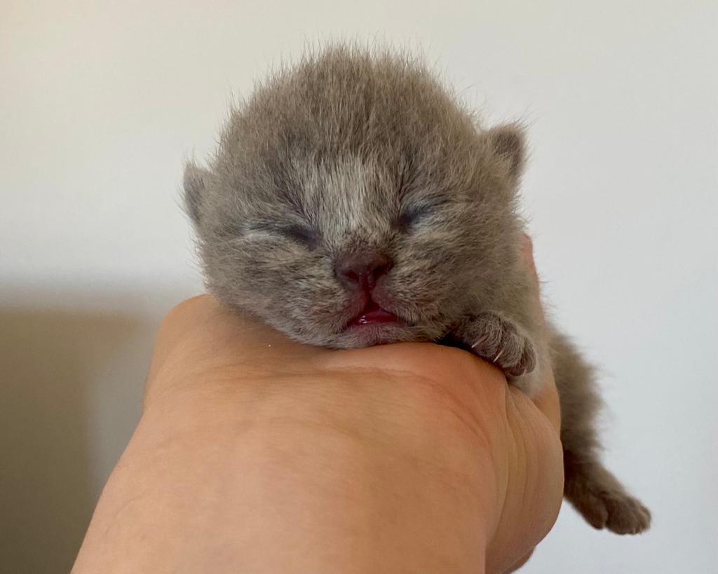 eb4ff2b2 a056 41f0 9730 de3c8cf8c493