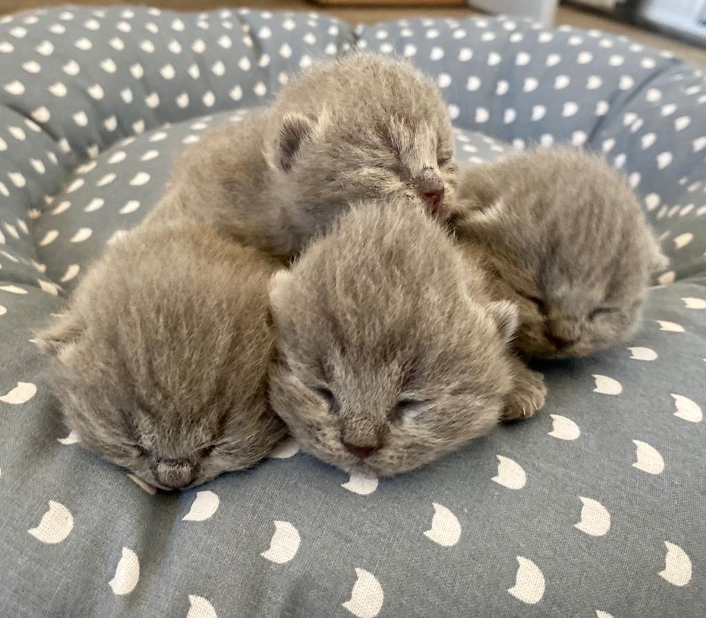 eb4ff2b2 a056 41f0 9730 de3c8cf8c493