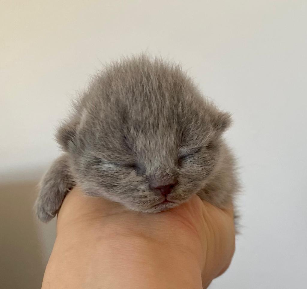 eb4ff2b2 a056 41f0 9730 de3c8cf8c493