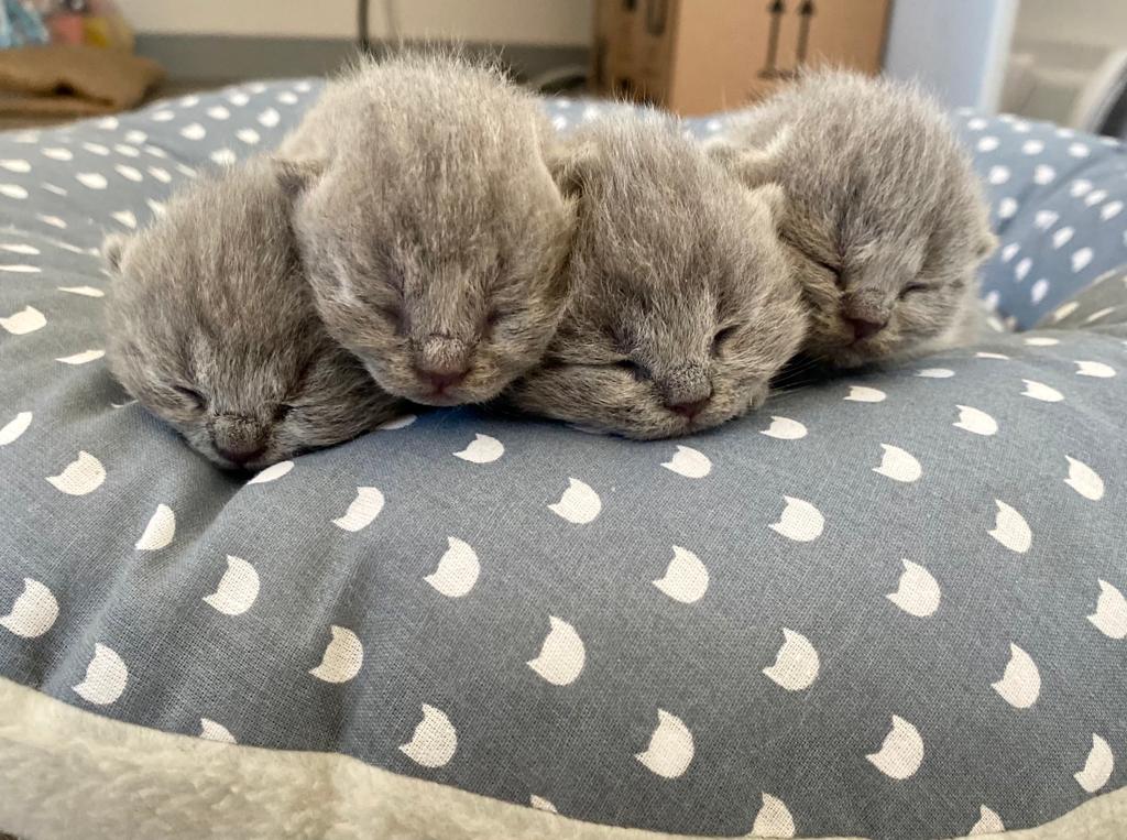 eb4ff2b2 a056 41f0 9730 de3c8cf8c493