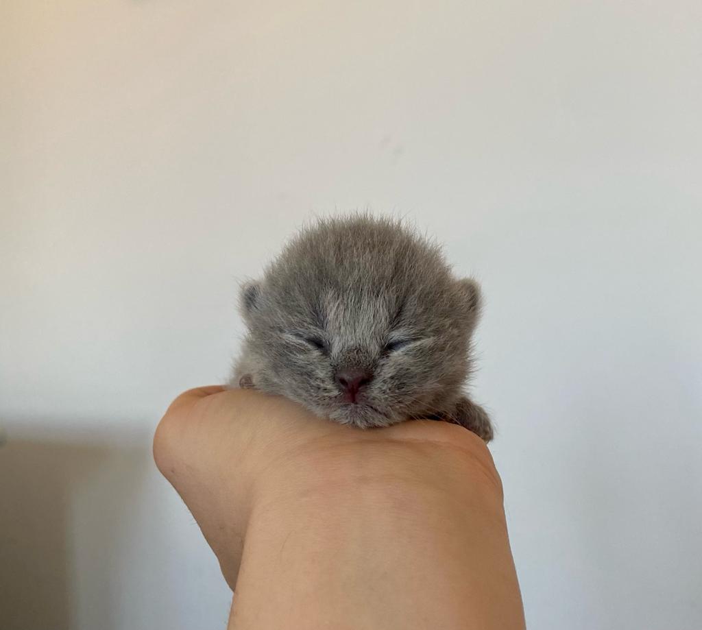 eb4ff2b2 a056 41f0 9730 de3c8cf8c493