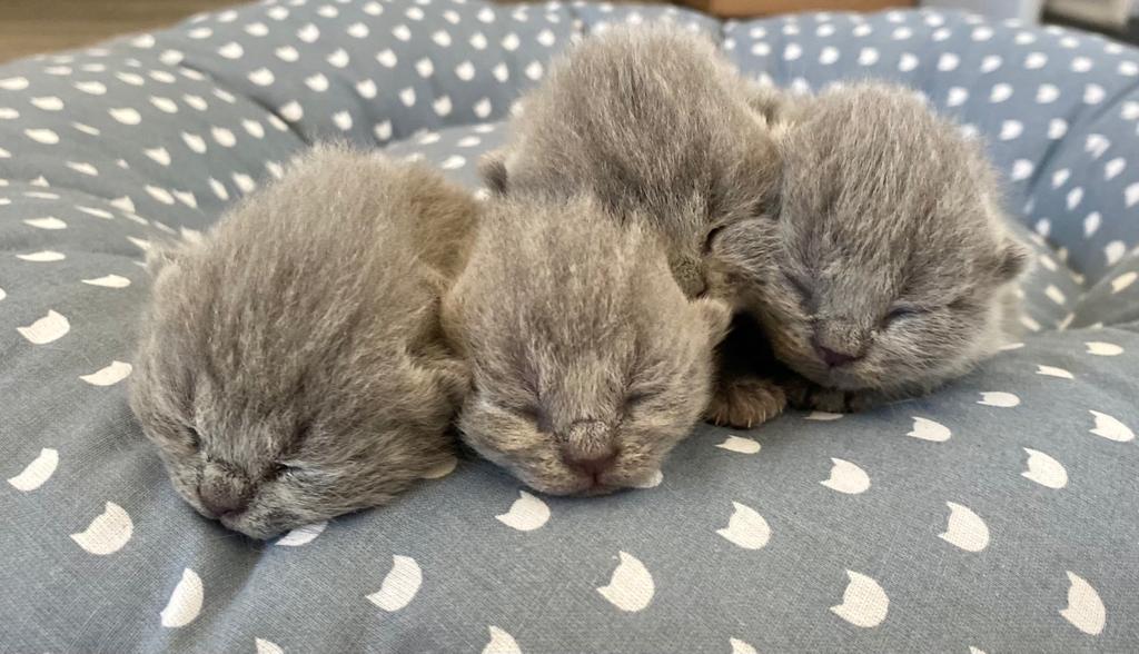 eb4ff2b2 a056 41f0 9730 de3c8cf8c493