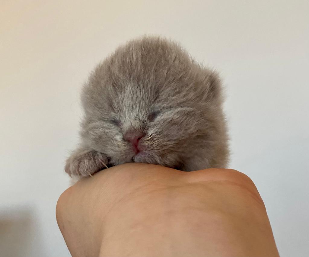 eb4ff2b2 a056 41f0 9730 de3c8cf8c493