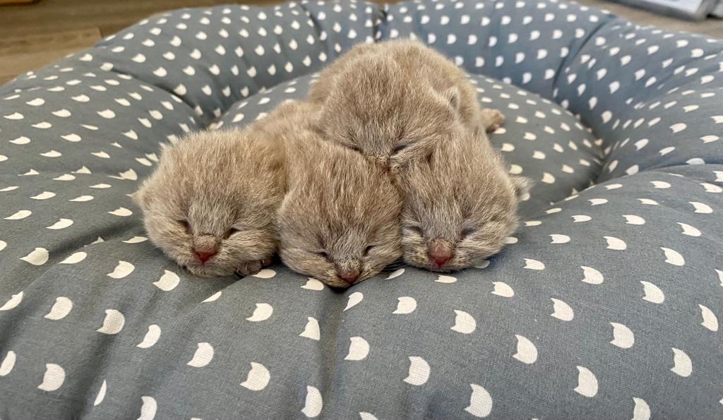 eb4ff2b2 a056 41f0 9730 de3c8cf8c493